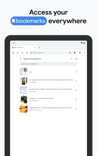 Chrome Canary (Unstable) 132.0.6816.0