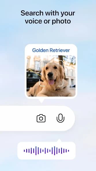 Microsoft Bing Search 31.1.430320014
