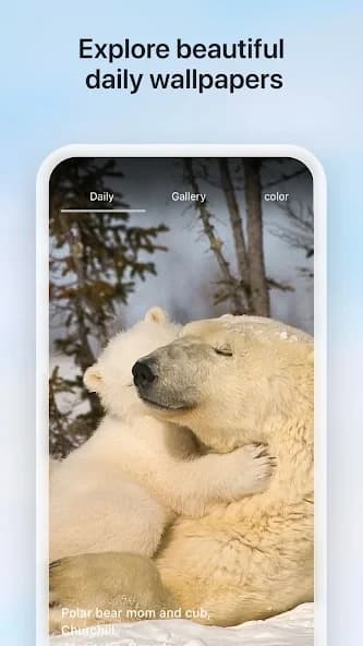 Microsoft Bing Search 31.1.430320014