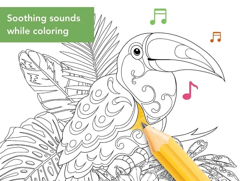 Colorfit: Drawing & Coloring 1.4.1