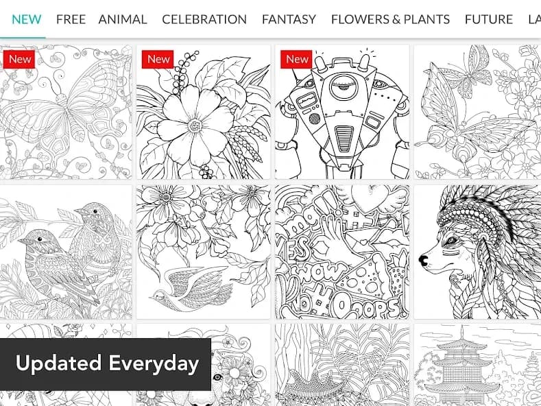 Colorfit: Drawing & Coloring 1.4.1
