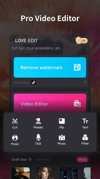 Video Editor & Maker-Love Edit 4.0.4