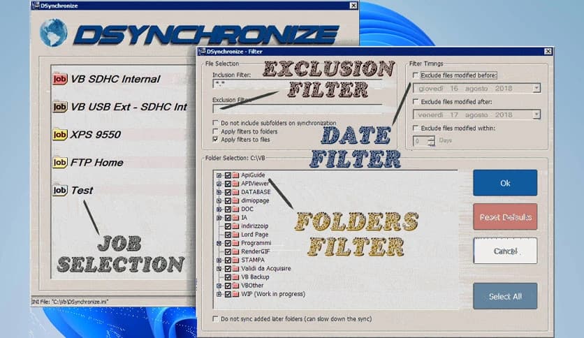DSynchronize 2.48