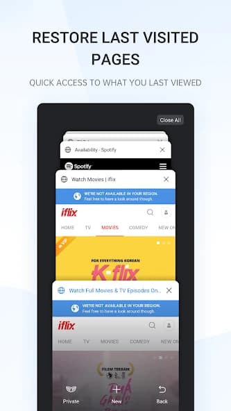 Internet Browser 45.11.5.3