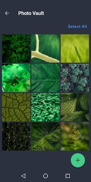 AVG Protection 24.19.0