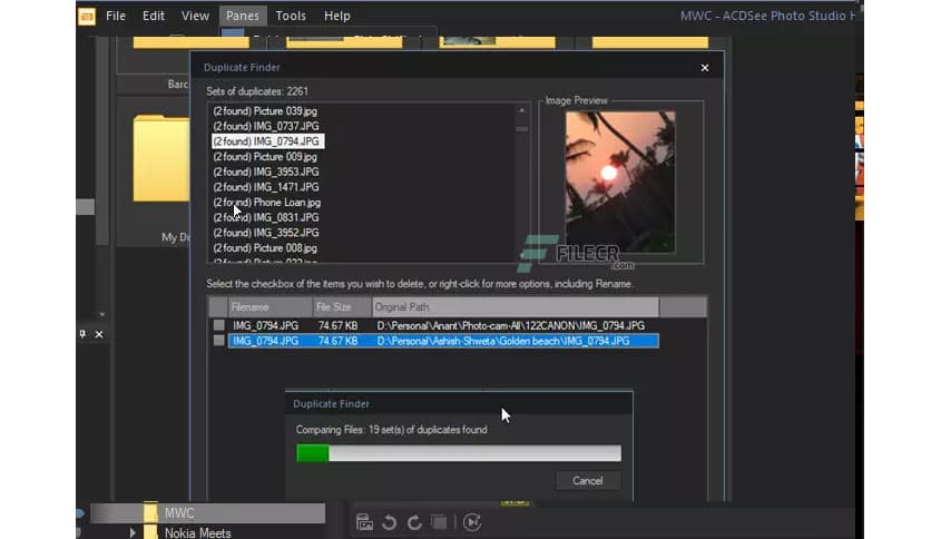 ACDSee Photo Studio Home 2026 v29.0.1.3351