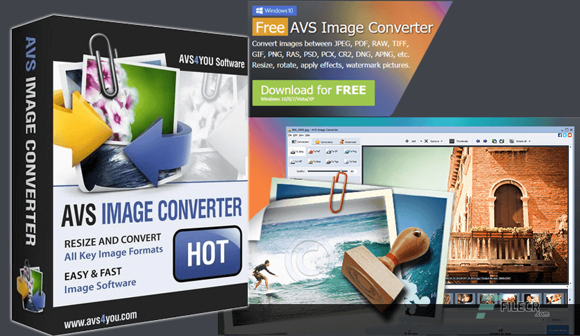 AVS Image Converter 26.0.1.176