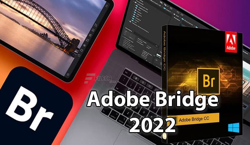 Adobe Bridge 2026 (v16.0.2.23)