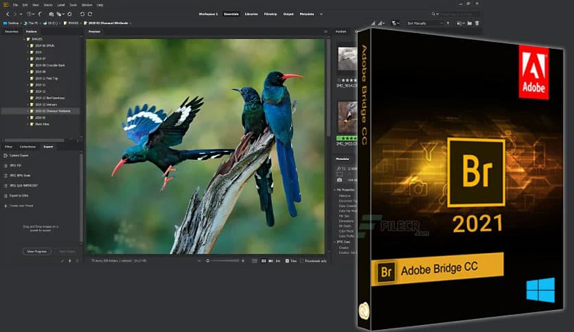 Adobe Bridge 2026 (v16.0.2.23)