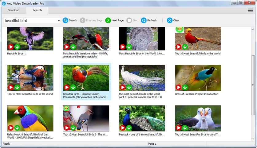 Any Video Downloader Pro 10.1.6