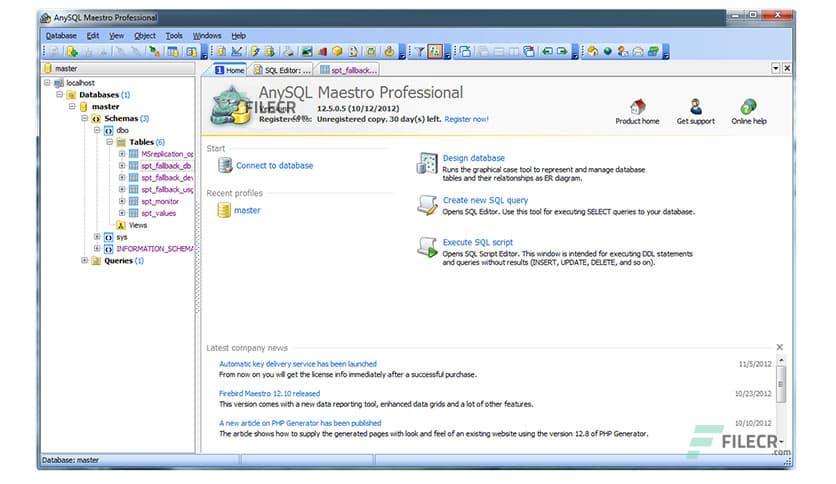 AnySQL Maestro Professional 16.12.0.20