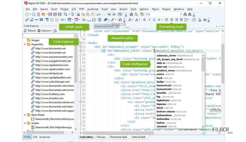 Blumentals Rapid CSS 2025 v18.5.0.273