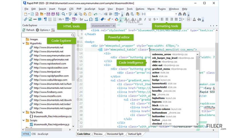 Blumentals Rapid PHP 2025 v18.5.0.273