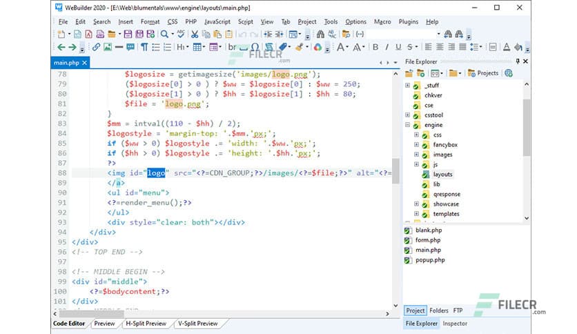 Blumentals WeBuilder 2025 v18.5.0.273