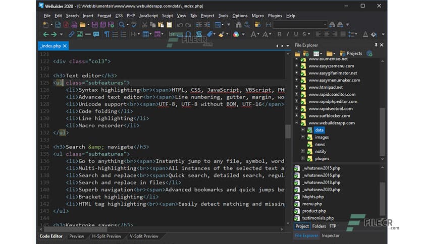 Blumentals WeBuilder 2025 v18.5.0.273