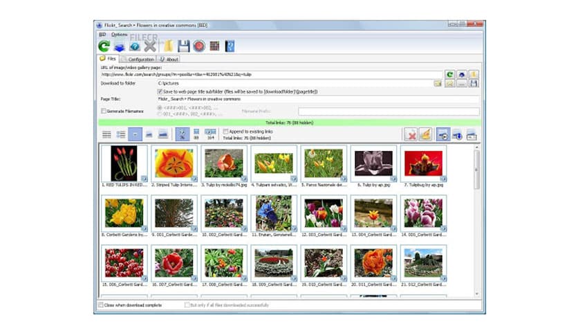 Bulk Image Downloader 6.62