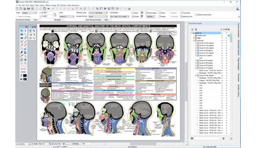 Canvas X Pro 20.0.1010