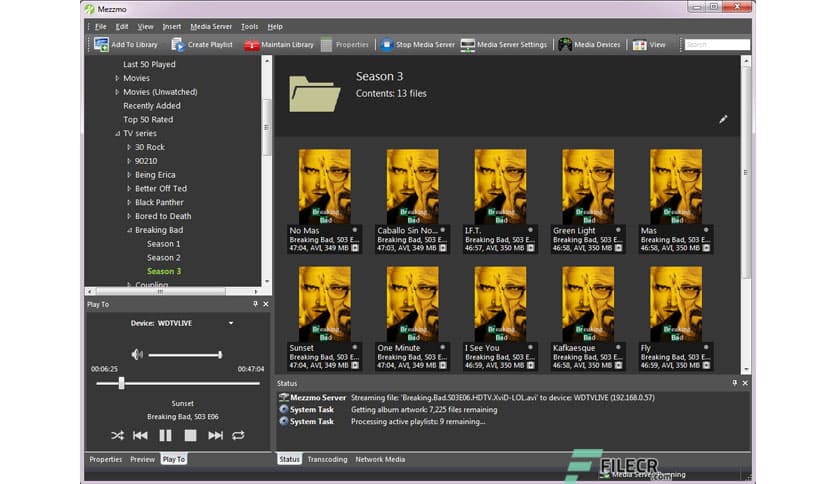 Conceiva Mezzmo Pro 6.0.6.0