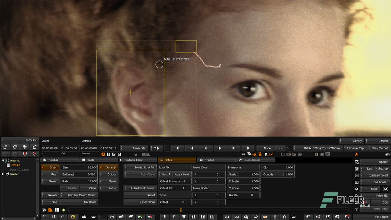 Digital Vision Phoenix 2021.1.003