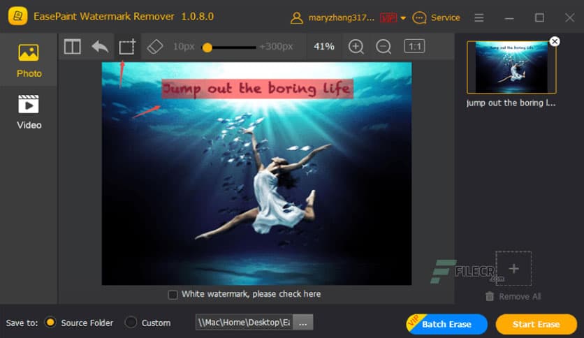 EasePaint EasePaint Watermark Expert 2.0.9.0