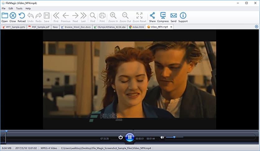 File Magic Gold Edition 1.9.8.19