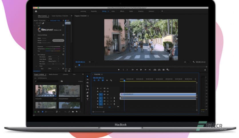 FilmConvert Nitrate 3.52 for Ae & Pr