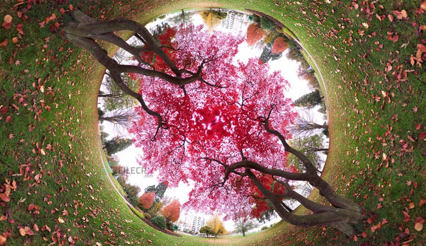 Flaming Pear Flexify 2.985 for Adobe Photoshop