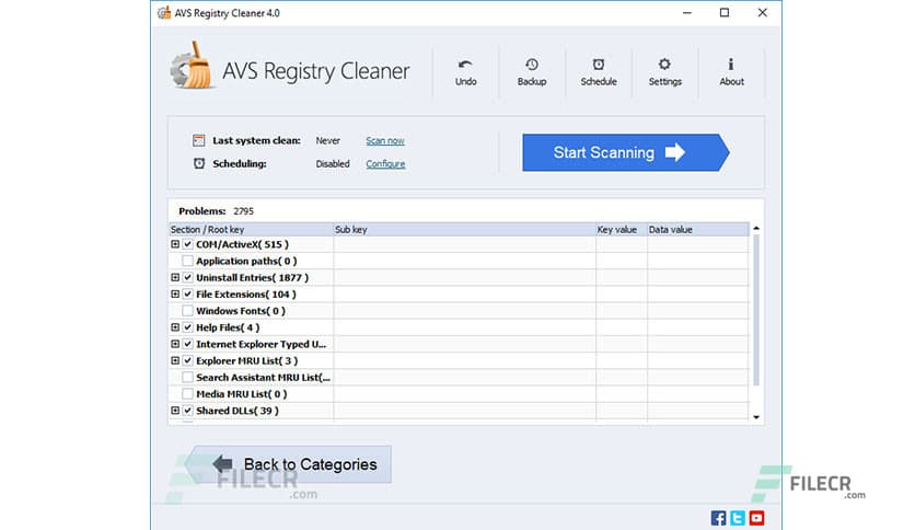 AVS Registry Cleaner 4.2.2.295