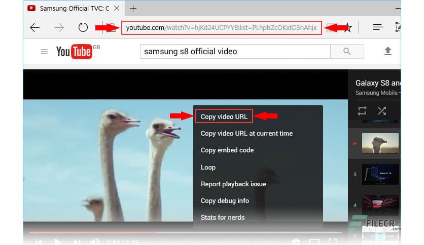 Free YouTube Download 4.5.5.204 Premium