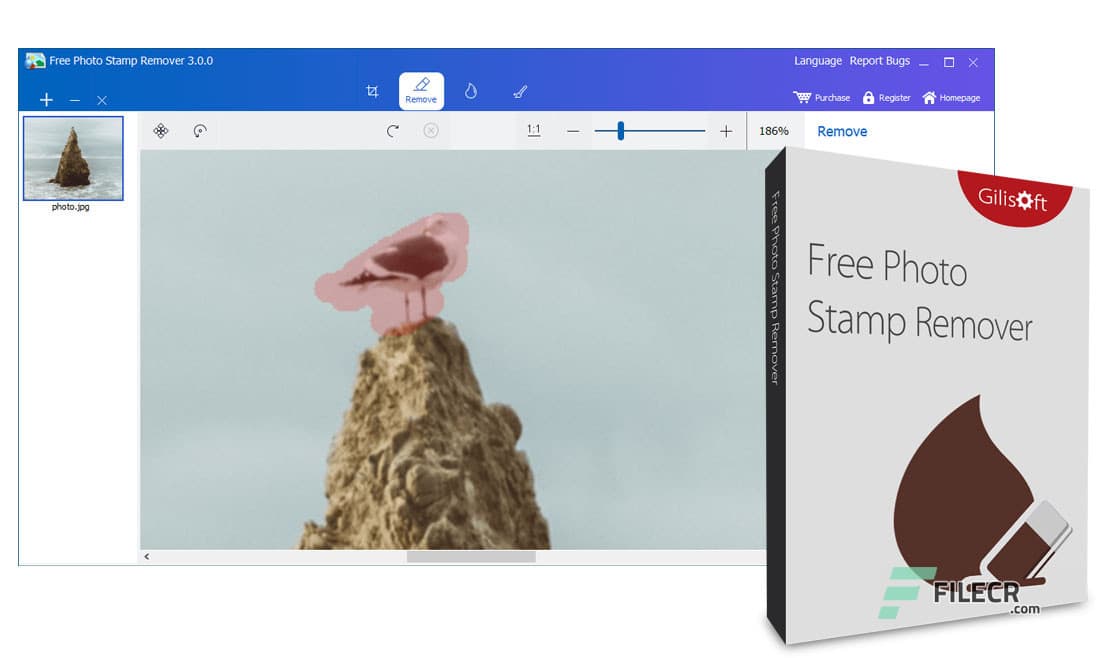 GiliSoft Photo Stamp Remover Pro 10.1