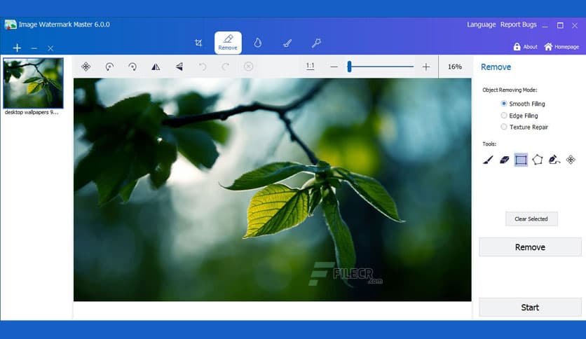 GiliSoft Photo Stamp Remover Pro 10.1
