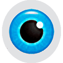 Hetman Internet Spy 4.0