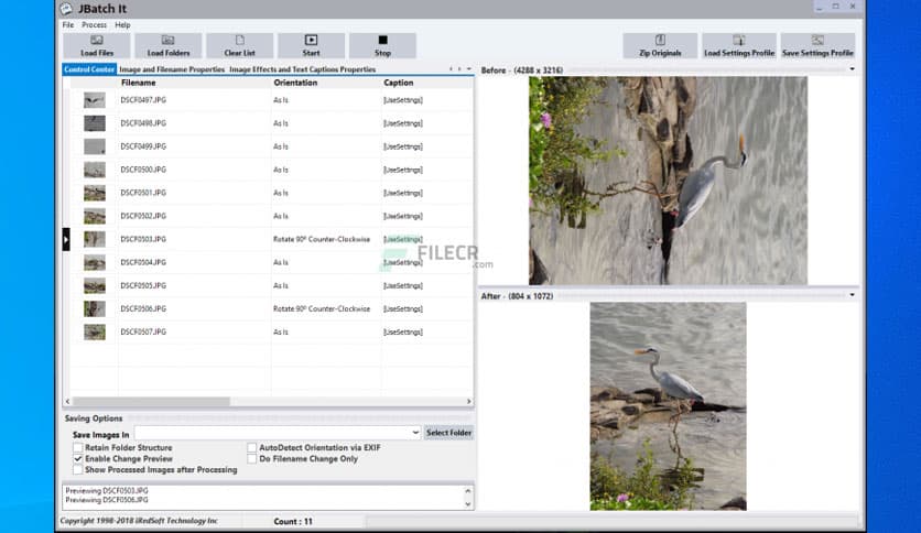 IRedSoft JBatch It 7.17