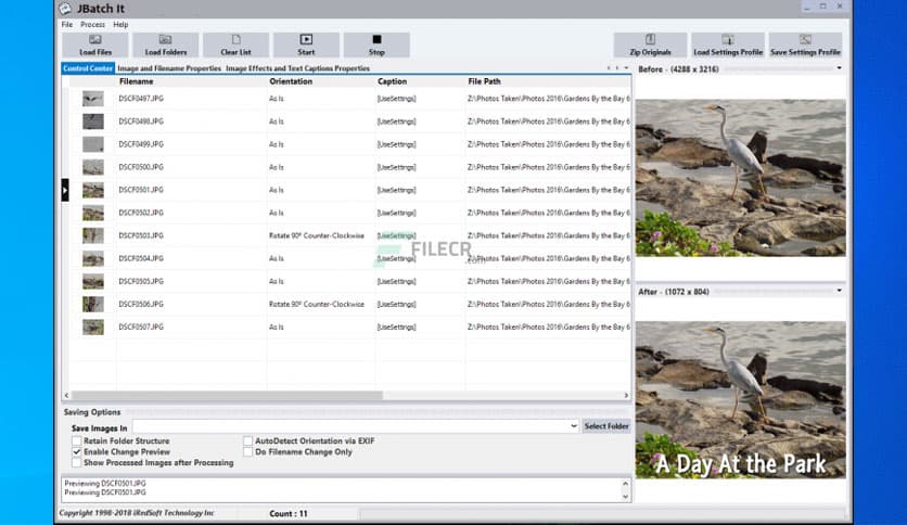 IRedSoft JBatch It 7.17