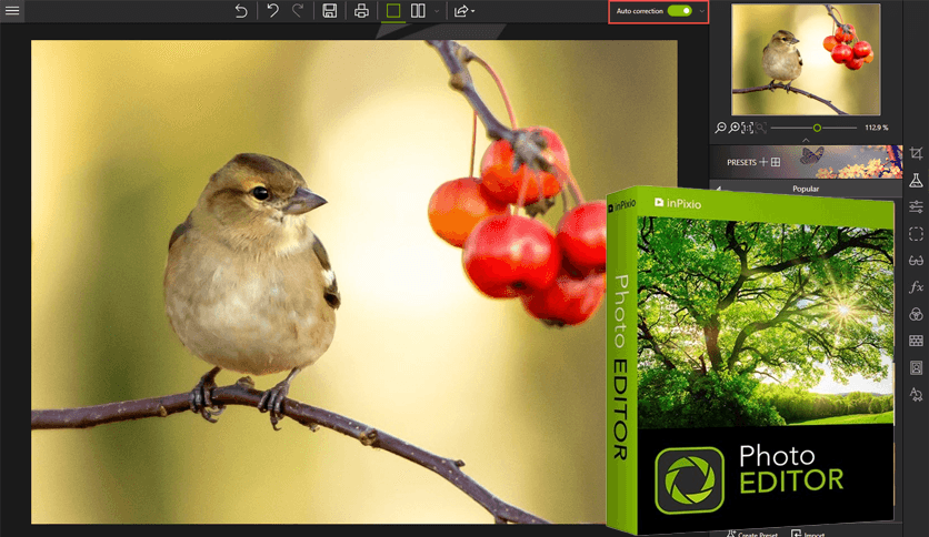 InPixio Photo Editor 10.5.8103.30870