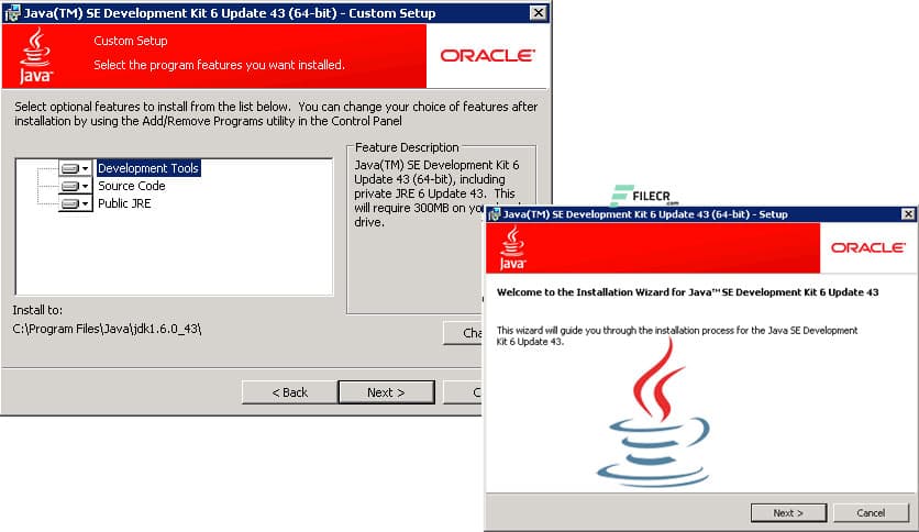 Java SE Development Kit 25.0.2