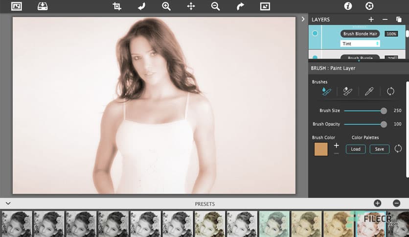 JixiPix Hand Tint Pro 1.0.27