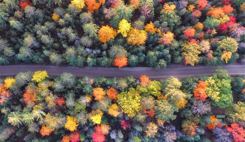 LizardTech GeoExpress Unlimited 10.0.1.5035