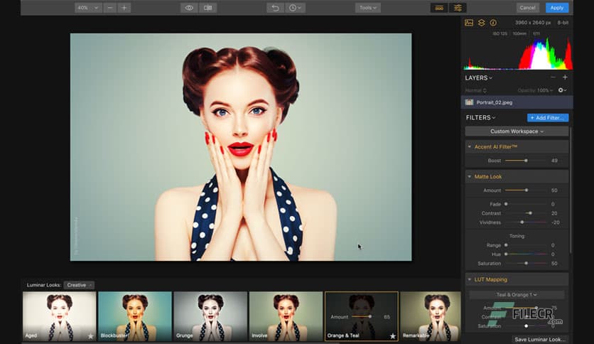 Luminar Flex 1.1.0.3435