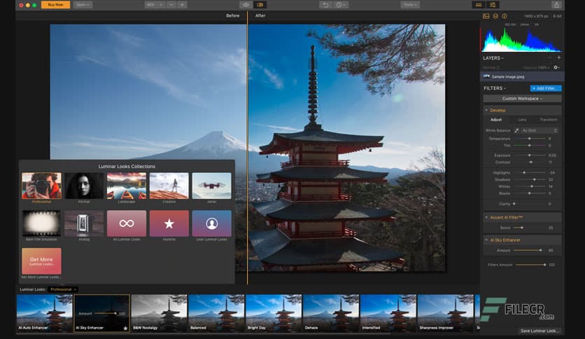 Luminar Flex 1.1.0.3435