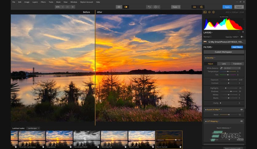 Luminar Flex 1.1.0.3435