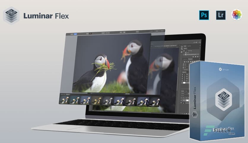 Luminar Flex 1.1.0.3435