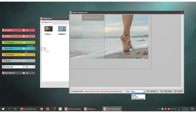 MSTech Easy Desktop Organizer Pro 2.0.0.0