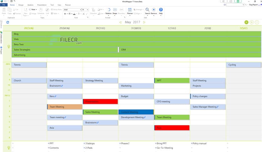 MindMapper arena 24.9302a