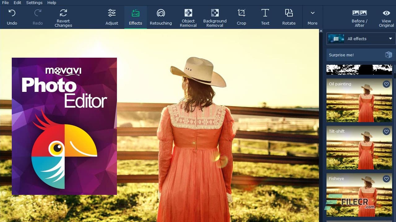 Movavi Photo Editor 24.3.0