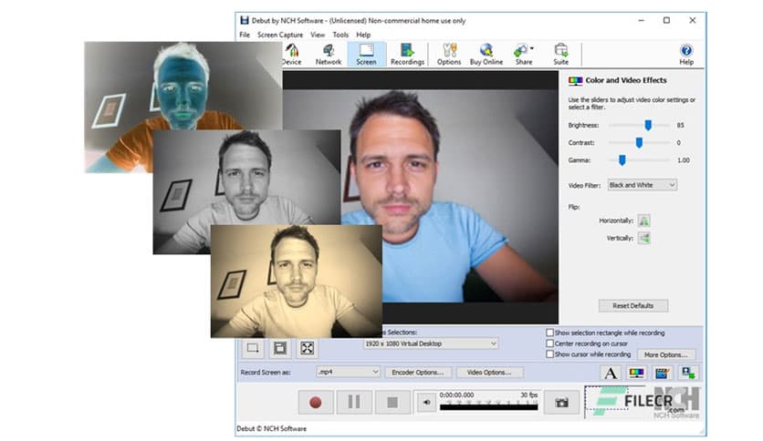 NCH Debut Professional 12.04