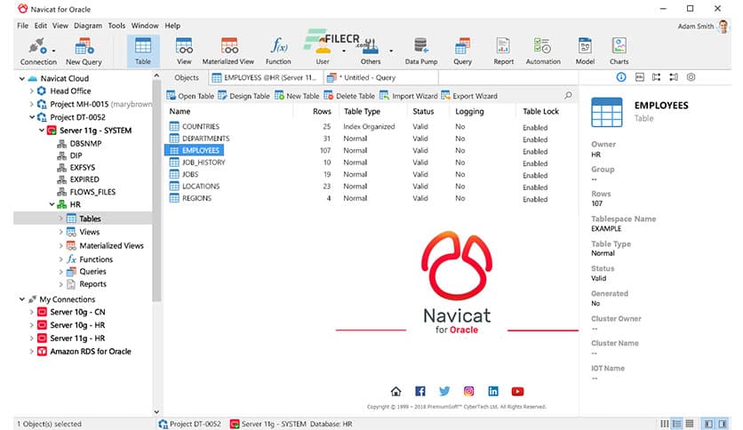 Navicat for Oracle 17.0.3