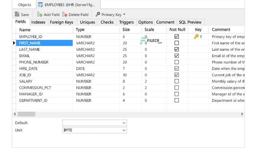 Navicat for Oracle 17.0.3