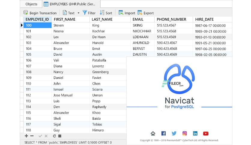 Navicat for PostgreSQL 17.0.3