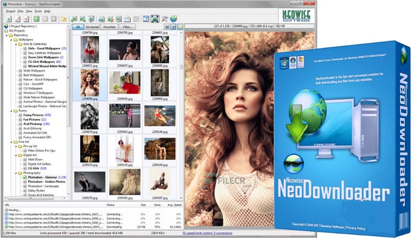 NeoDownloader 4.2.0.285